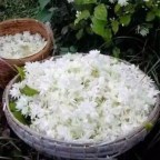 મોગરાનાં ફૂલ : નેહલ