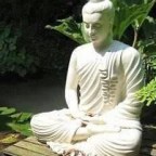 ​नज़्म – नेहल