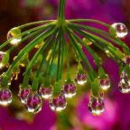 એક ક્ષણમાં વસી શકું- નેહલ