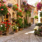 તારે નામે લખું છું – કુમાર પાશી