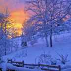 કોરિયાની પ્રશિષ્ટ કવિતા: સિજો