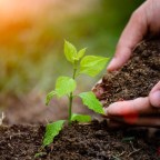 मिलना न मिलना एक बहाना है और बस – सलीम कौसर