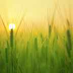 પચાસમા વર્ષની પહેલી સવારે : પારૂલ ખખ્ખર