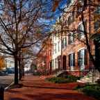 Tree : Arundhathi Subramaniam