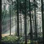 ગઝલ : ઉદયન ઠક્કર