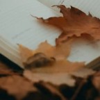 अधूरी कविता : मंगलेश डबराल