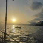 Bud : Kerrie O’ Brien