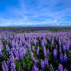 On the last day of the year…