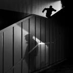 In A Dark Time: Theodore Roethke